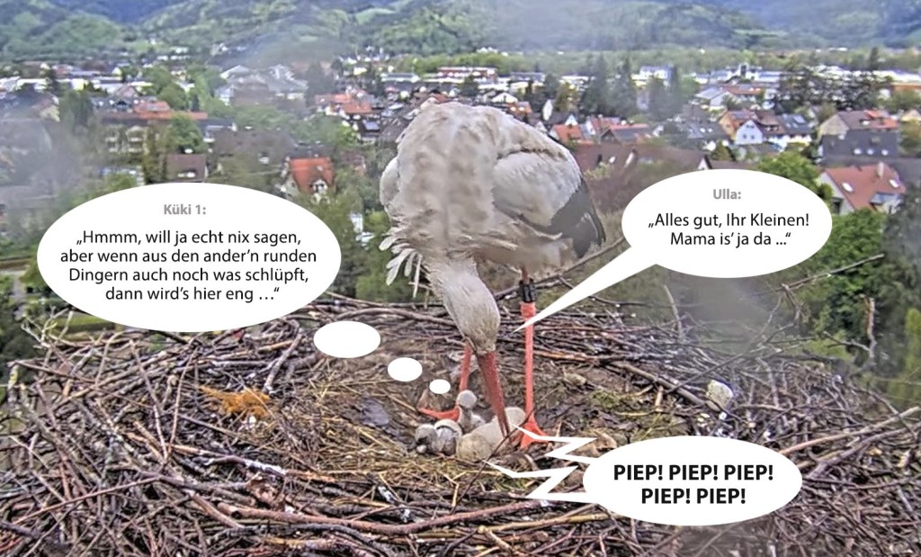 Kirchzarten_2025-04-25_12Uhr47_COMIC-2_Ulla_u_2Küken.jpg