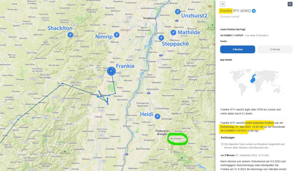 Frankie hat sich weiter nach Norden bewegt und hat am 1. Mai 2025 das Elsass erreicht. <br />Er wurde gestern zur Mittagszeit nördlich von Sélestat geortet, etwa 60 Kilometer nordwestlich von Kirchzarten entfernt.