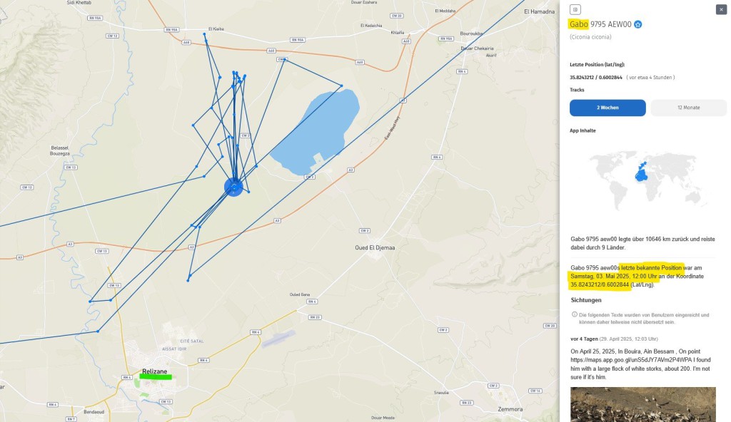 Gabo scheint es im Gebiet bei Relizane zu gefallen. Der nordöstlich davon liegende See scheint ein Salzsee zu sein.
