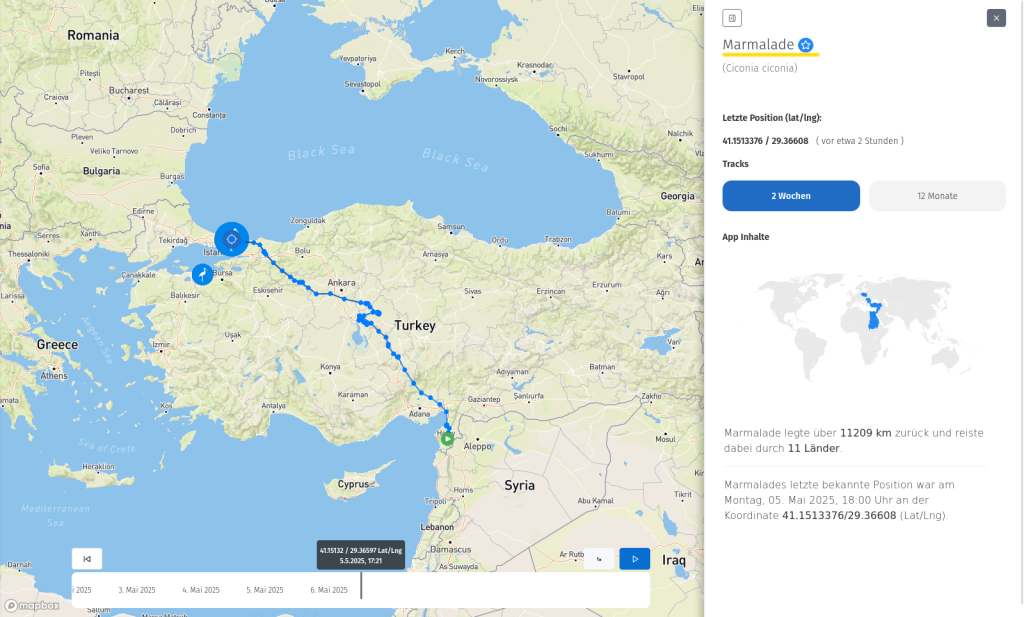 Marmalade am 5. Mai 2025, relativ nahe am Bosporus.