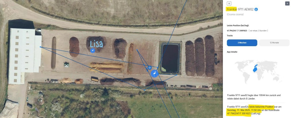 Frankies Trupp hat eine Art Deponie bei Mulhouse entdeckt ... dort ist auch Oelklisa alias Lisa.