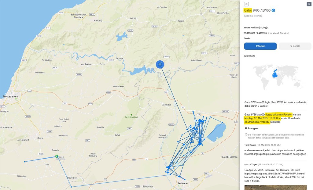 Gabo_12Mai2025_Oued-Chlef_Nordwest-Algerien_AT.jpg
