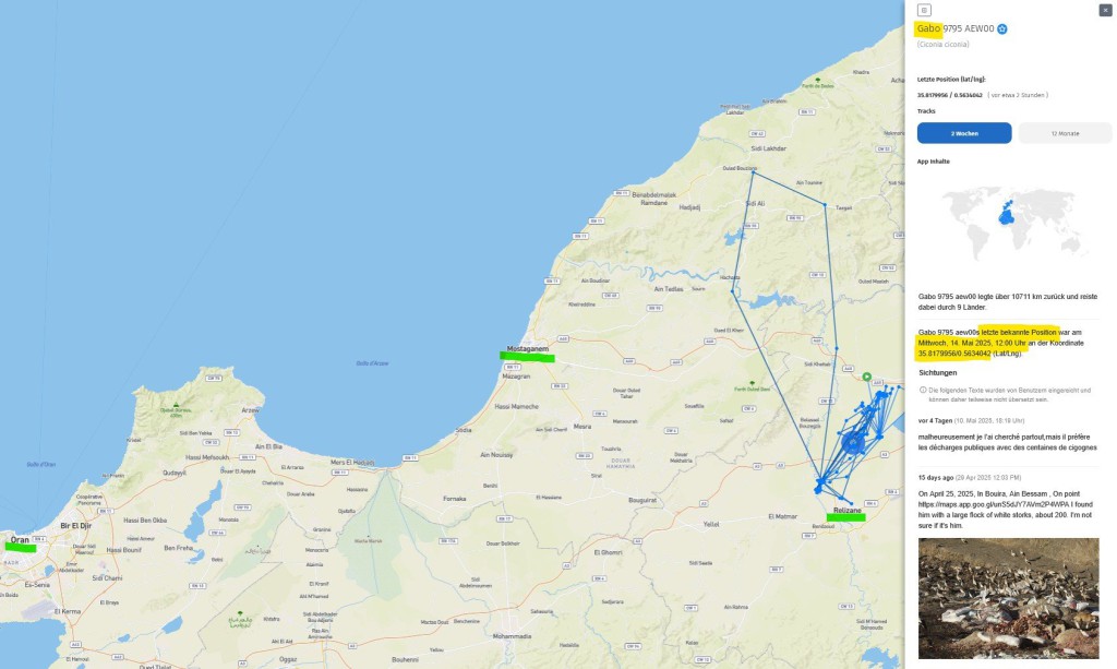 Gabo hat am 12. Mai einen Ausflug in den Norden gemacht. Er hielt sich unter anderem nahe des Flusses Cheliff (Oued Chlef) auf.