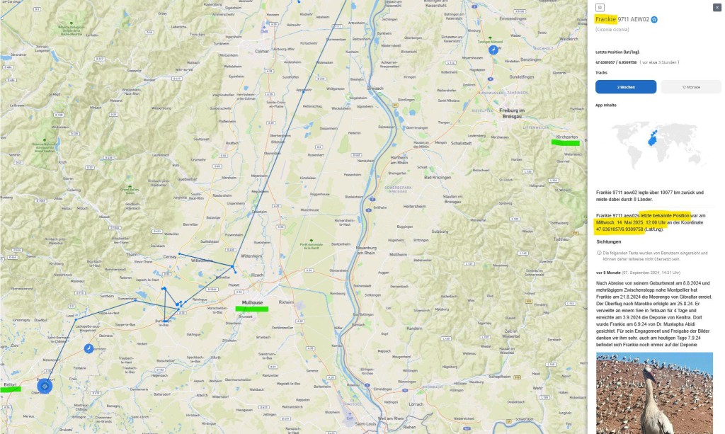 Frankie hielt sich heute Mittag etwa 40 Kilometer südwestlich von Mulhouse auf.