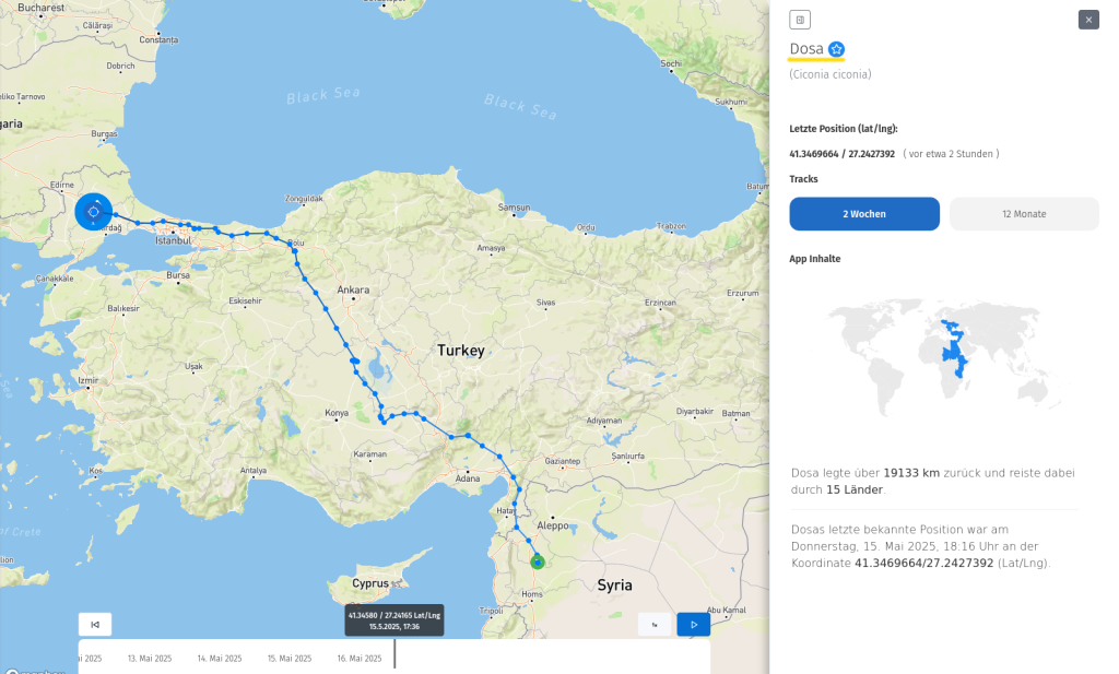 Der polnische Storch ohne Geschlechtsangaben, Dosa, ist am 15. Mai 2025 im Nordwesten der Türkei angekommen.