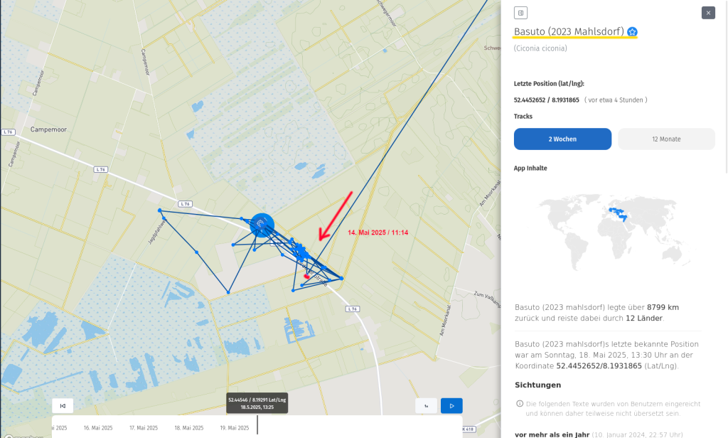 Basuto befindet sich seit dem 14. Mai 2025 in diesem Moorgebiet.