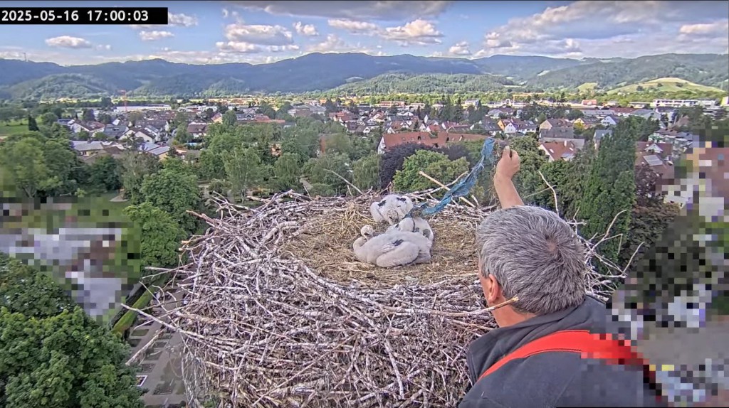 Kirchzarten_2025-05-16 17Uhr00-03 Müllentferung-durch-Bauhofmitarbeiter.jpg