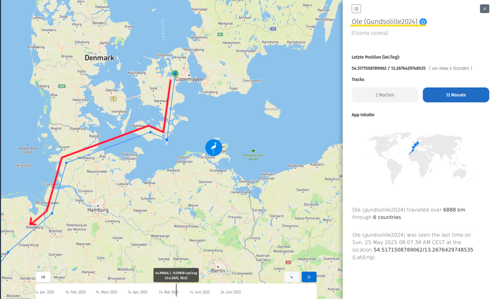 Das ist die Route, die Ole gewählt hat, um von Dänemark  nach Deutschland und weiter nach Süden zu fliegen. August 2024.