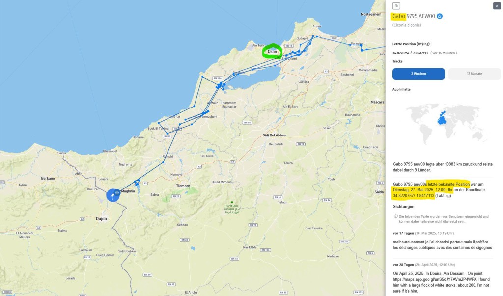 Gabo_27Mai2025_westl-von-Oran_NW-Algerien_Grenze-zu-Marokko_AT.jpg