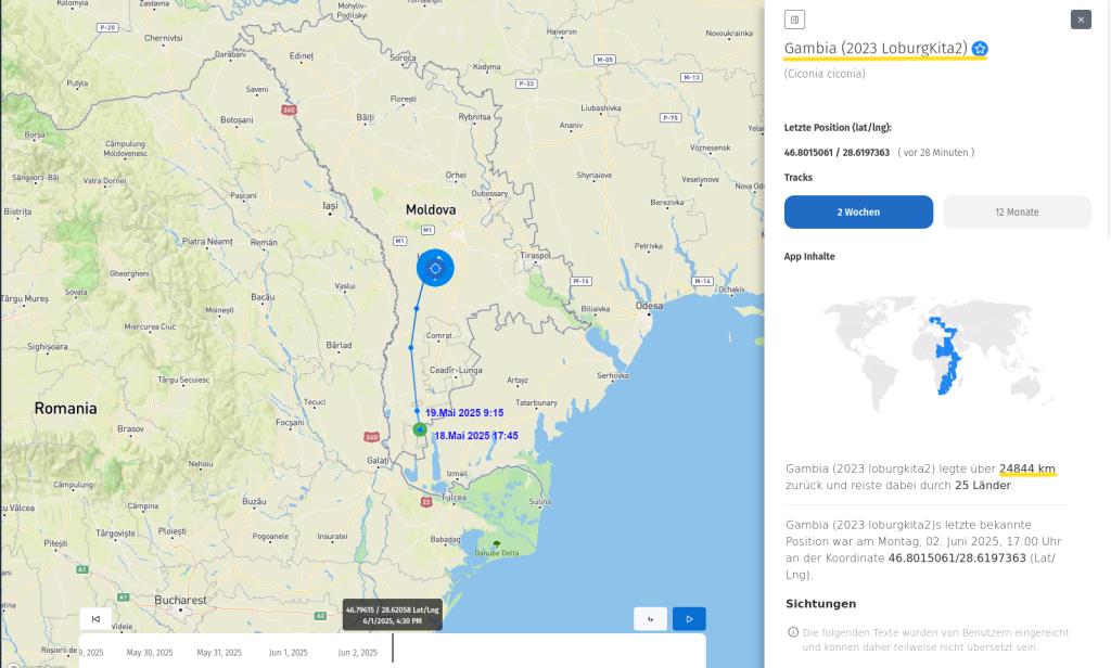 Gambia ist seit 14 Tagen in Moldavien. (2. Juni 2025)