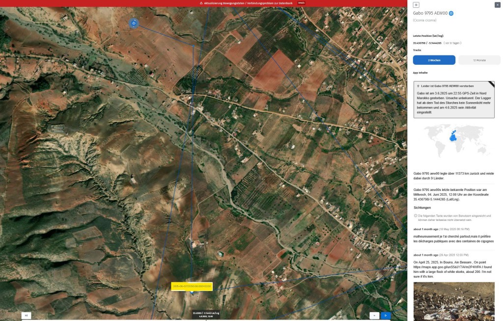 Gabo_02Juni2025_bei-Oued-Laou_Marokko_AT_verstorben.jpg