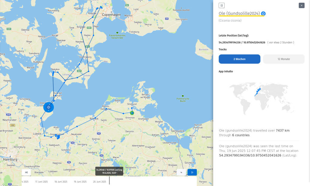 Ole ist wieder in Schleswig-Holstein. 19. Juni 2025.