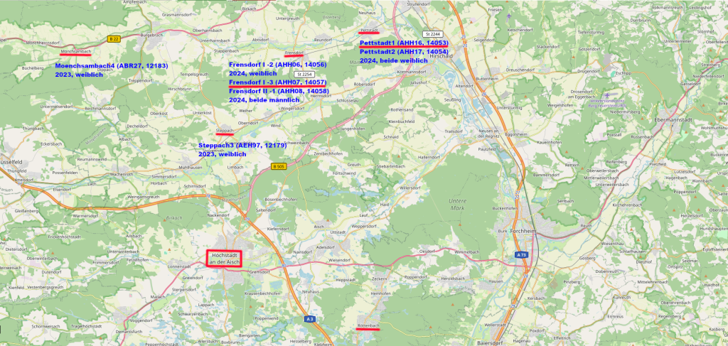 Südlich von Bamberg, in Pettstadt und in Frensdorf, sind die beiden Störche im Jahr 2024 geboren worden.