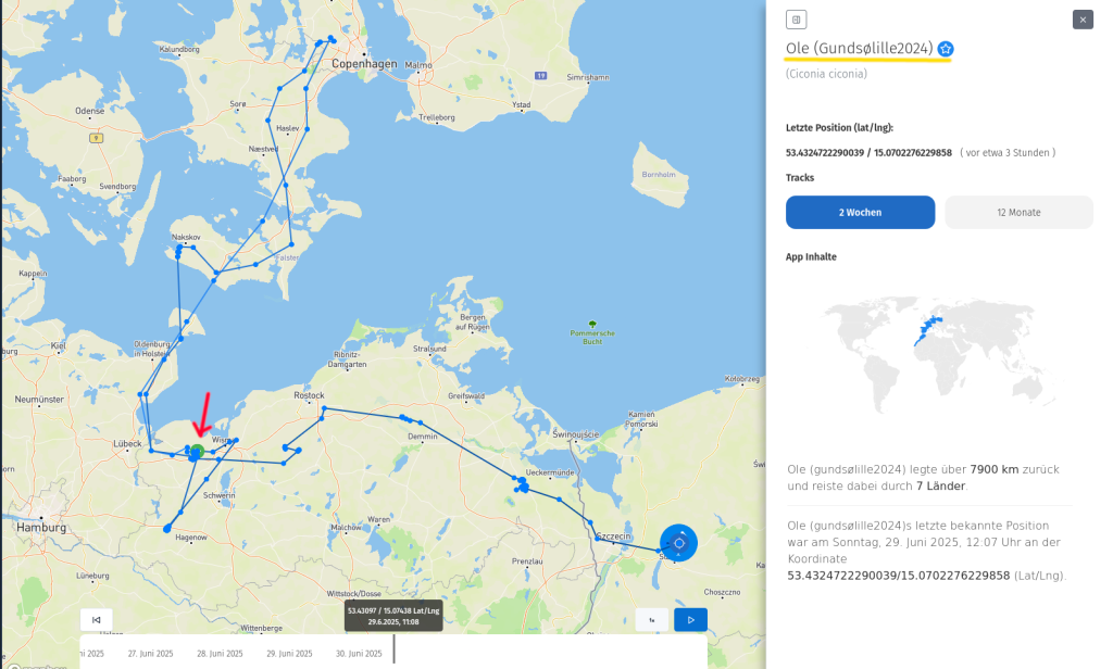 Ole am 29. Juni 2025, inzwischen in Polen.