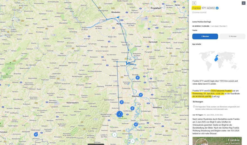 Aktuell hält er sich bei Schifferstadt, südwestlich von Mannheim auf.