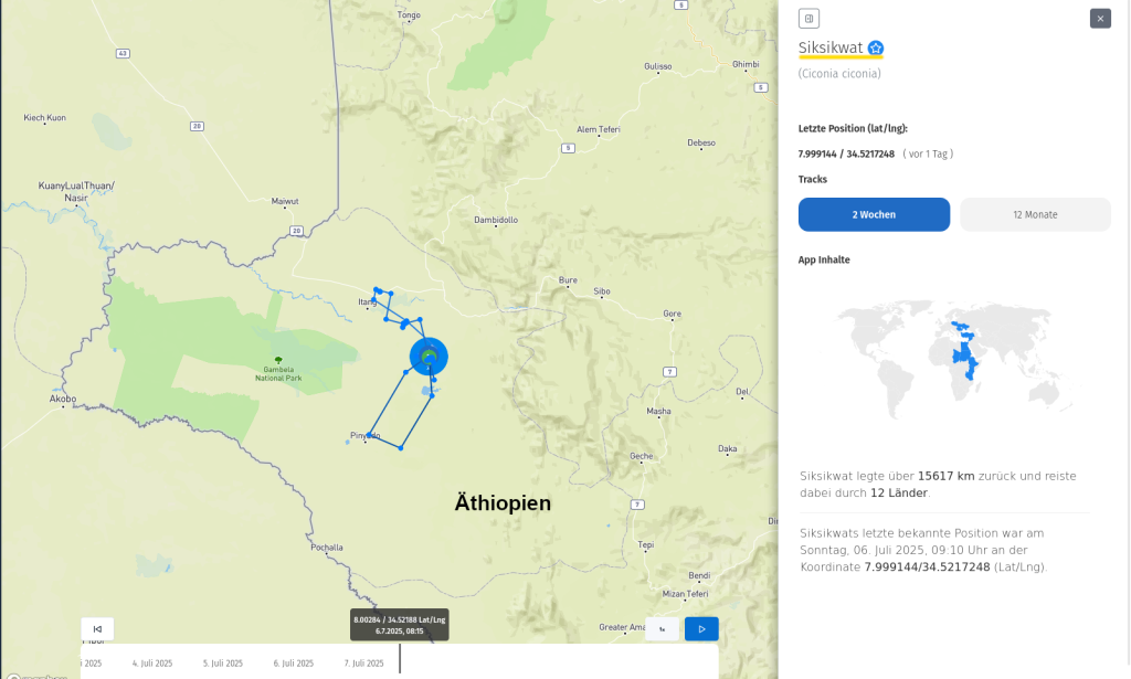 Siksikwat am 6. Juli 2025, also gestern, in Äthiopien.