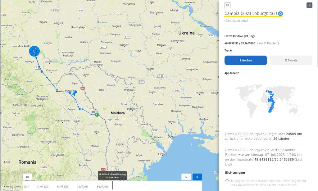 Gambia am 7. Juli 2025, mittlerweile in der Ukraine.