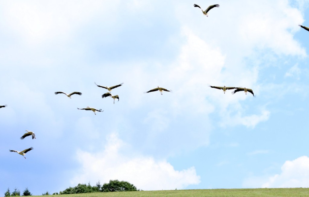 Abflug       Copyright: Birgit