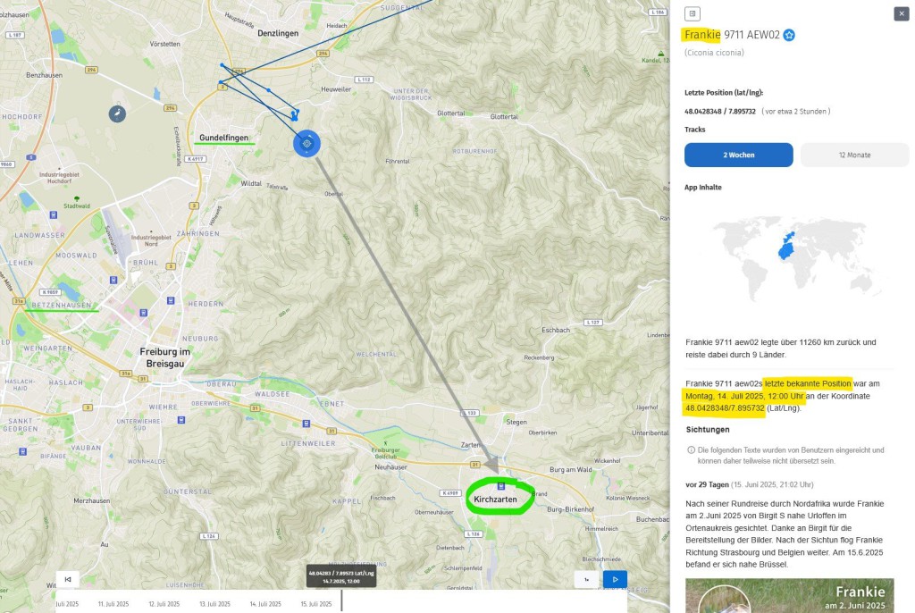 Heute Mittag wurde Frankie östlich von Gundelfingen geortet, also ca. 10 Kilometer von Kirchzarten entfernt.<br />Das sind je nach Geschwindigkeit etwa 15 bis 20 min. Flugzeit bis Kirchzarten.