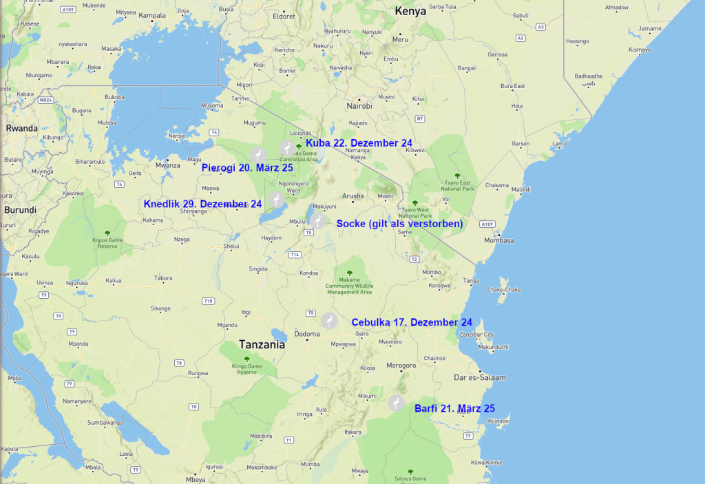 Screenshot 2025-07-27 at 19-21-09 Animal Tracker.png