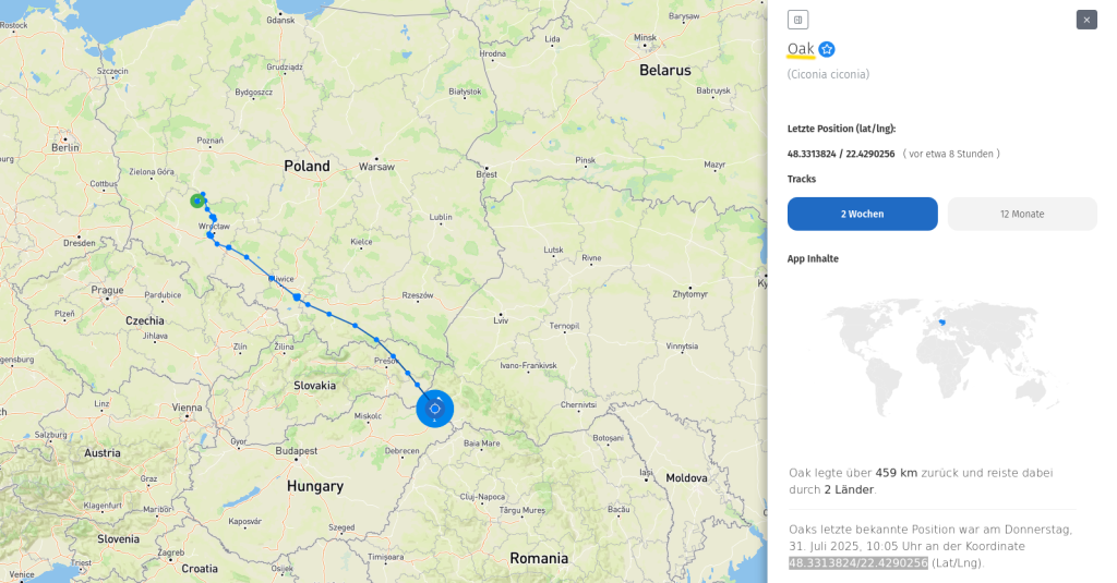 Oak am 31. Juli 2025 in der Ukraine.