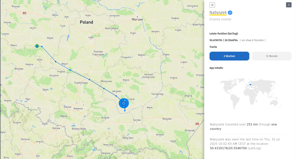 Nabyszek am 31. Juli 2025, ebenfalls noch in Polen.