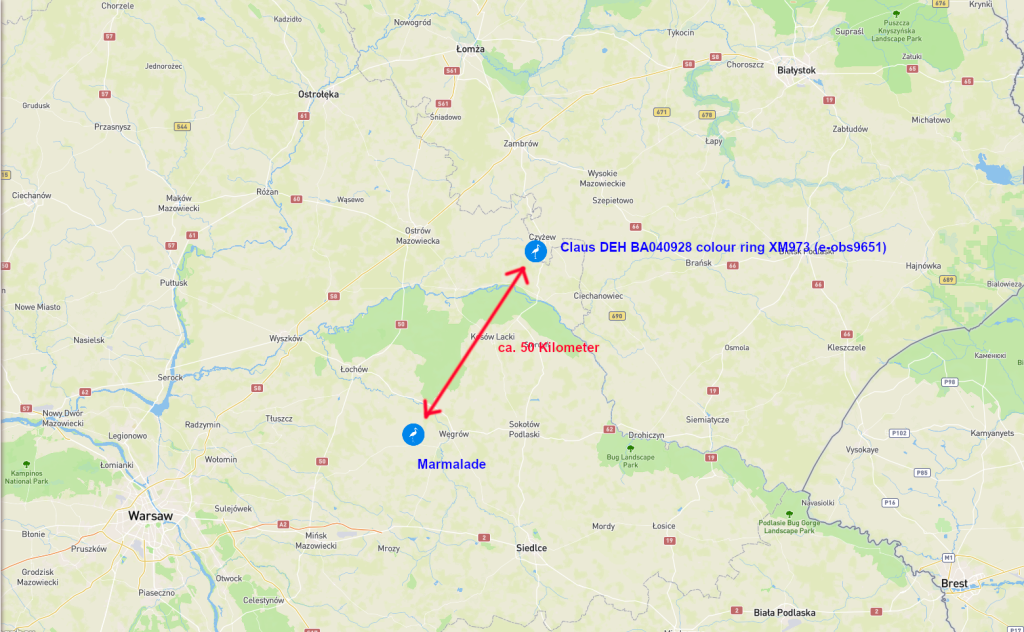Screenshot 2025-08-04 at 20-03-22 Animal Tracker.png