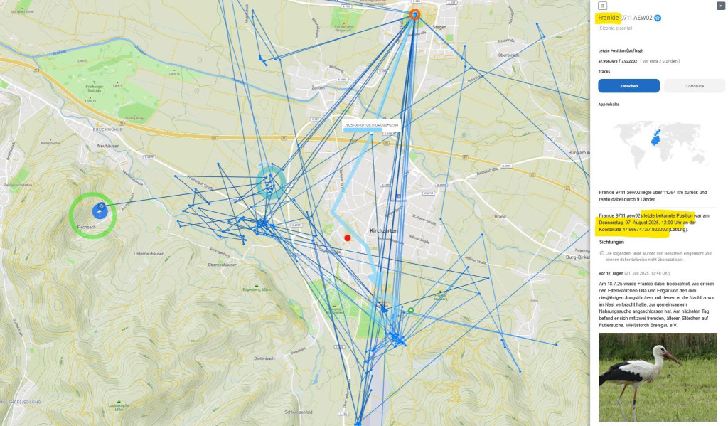 Frankie_07Aug2025_Kirchzarten_fliegt-am-Nest-vorbei_letzte-Ortung-Fischbach_AT.jpg