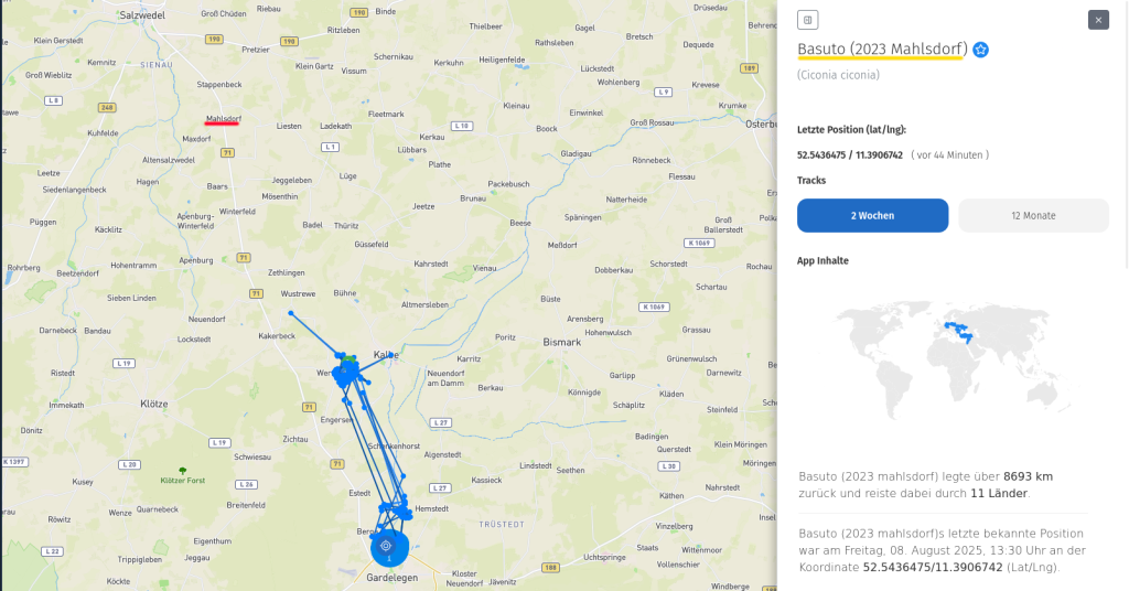 Basuto ist weiterhin in der Altmark, rund 20 - 30 Kilometer von seinem Geburtsnest entfernt. (8. August 2025)