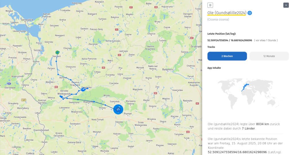 Es sieht leider doch ziemlich danach aus, als wenn Ole nun definitiv ein Ostzieher geworden ist. (15. August 2025)