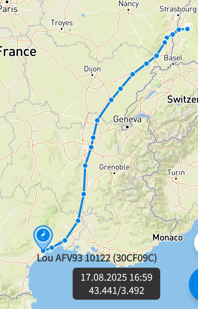 Screenshot_20250817_174347_Animal Tracker.jpg