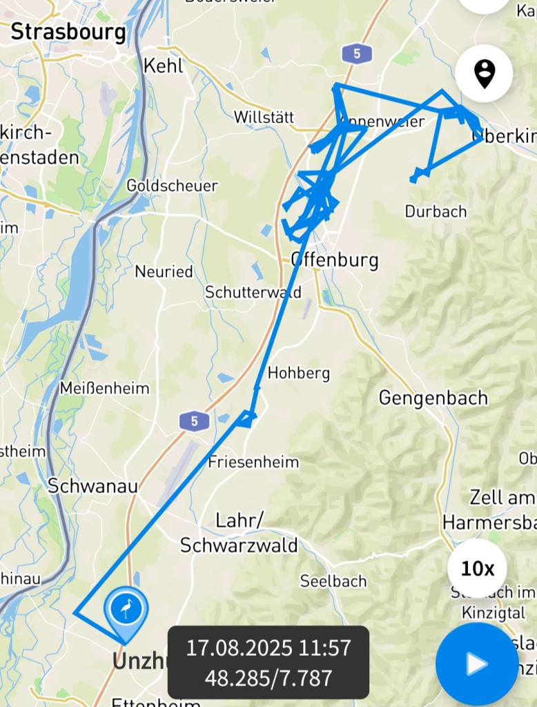 Screenshot_20250817_172008_Animal Tracker.jpg