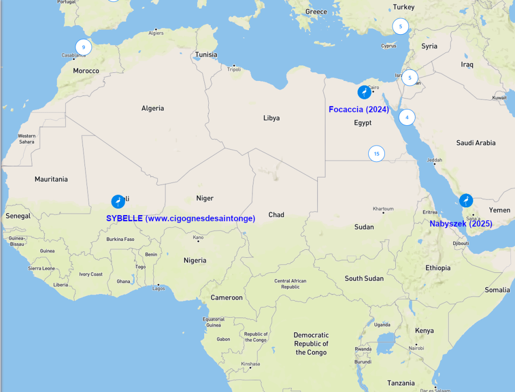 Screenshot 2025-08-28 at 08-24-34 Animal Tracker.png