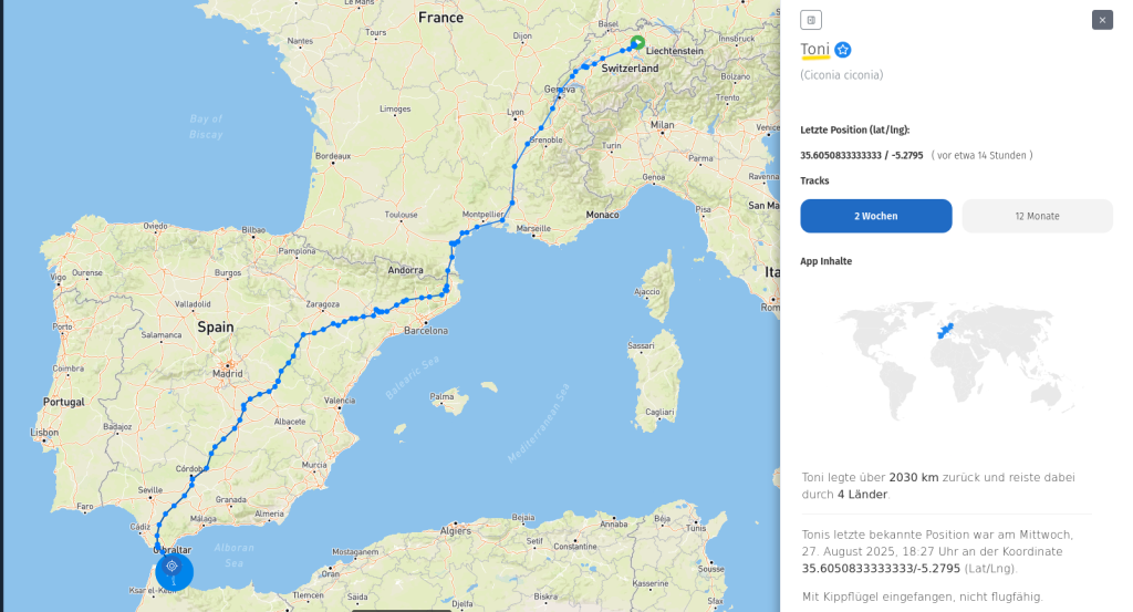 Toni ist bereits auf dem afrikanischen Kontinent, östlich von Tétouan in Marokko.