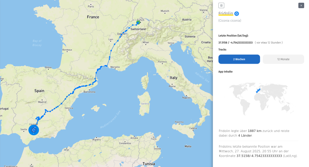 Fridolin ist (noch) in Spanien.
