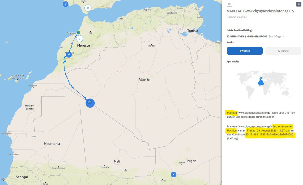 MARLEAU_29Aug2025_Sahara_Dreiländer-Grenze_Mauretanien-Algerien-Mali_AT.JPG