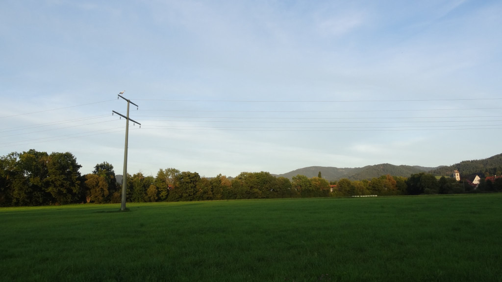 DSC00891.JPG
