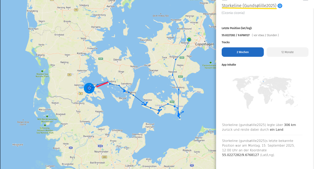 Storkeline am 15. September 2025.