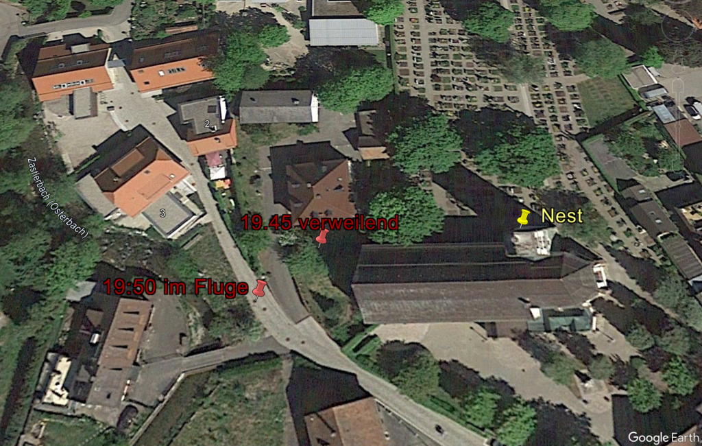 letzter Abend in Kirchzarten.png