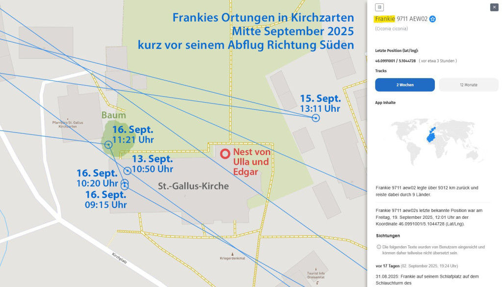 Frankie_13-u-15-u-16Sept2025_Kirchzarten_geortet-auf-u-nahe-StGallus_AT_bearb.jpg