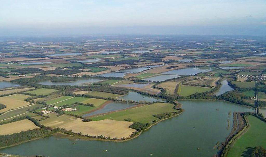 Dombes_Wikimedia_1200px.jpg (163.81 KiB) 254 mal betrachtet Frankie hat gestern, am 19. Sept. 2025, die Seenlandschaft Dombes erreicht. Er hat dort auch übernachtet.<br />Der oberflächennahe Untergrund besteht aus eiszeitlichen Sedimentablagerungen, v.a. aus wasserundurchlässigem Geschiebelehm. Charakteristisch sind daher die zahlreichen Fischteiche (Étangs), die seit dem 15. Jahrhundert, in einigen Fällen aber auch schon früher, von den Grundbesitzern unter Ausnutzung der natürlichen Bodensenken angelegt wurden.