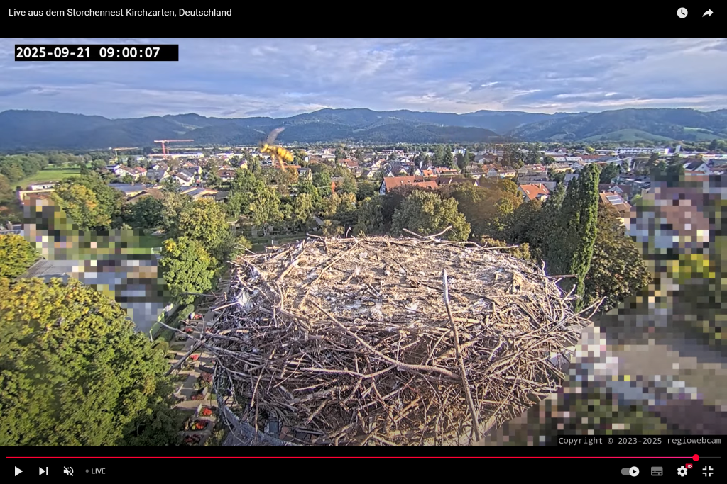 Screenshot 2025-09-21 093008.png