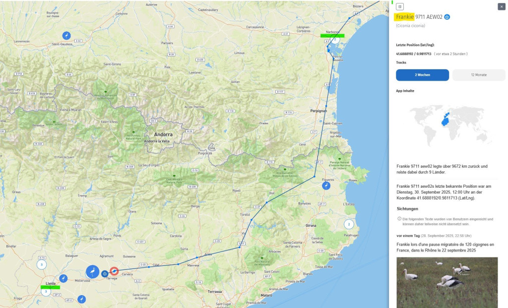 Frankie_30Sept2025_Zug-von-Narbonne-nach-Lleida_AT.jpg