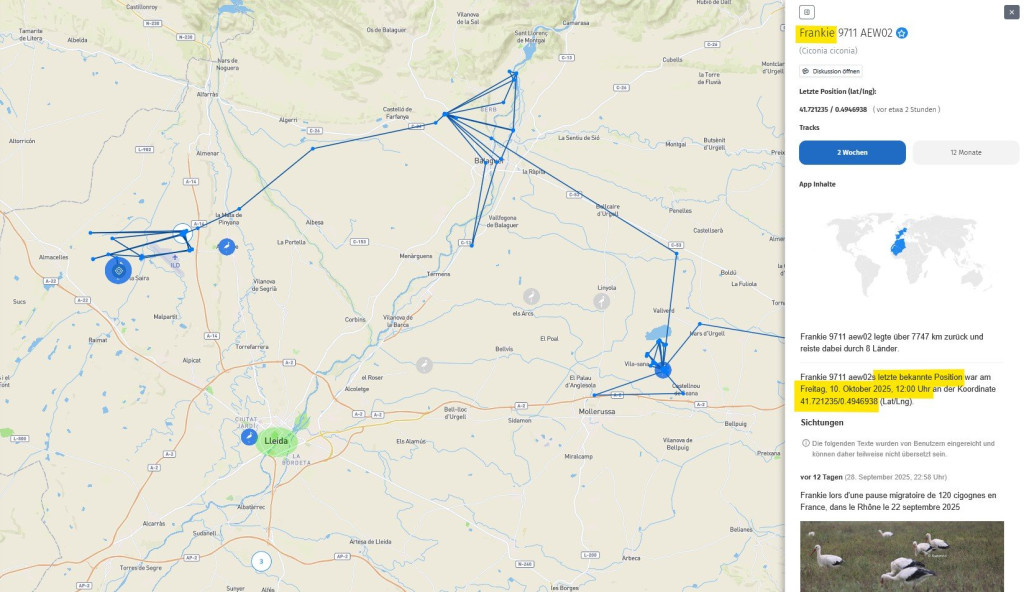 Frankie hält sich seit 3 Tagen bei Almacelles, in der Nähe des Flughafens Lleida-Alguaire auf. Dieser befindet sich nordwestlich von Lleida.