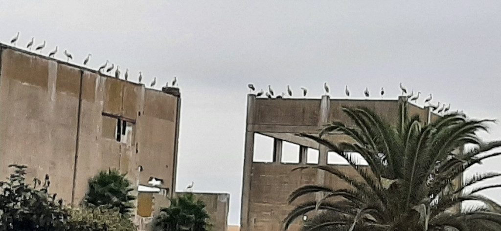 Kenitra 04.10.24-1.jpg