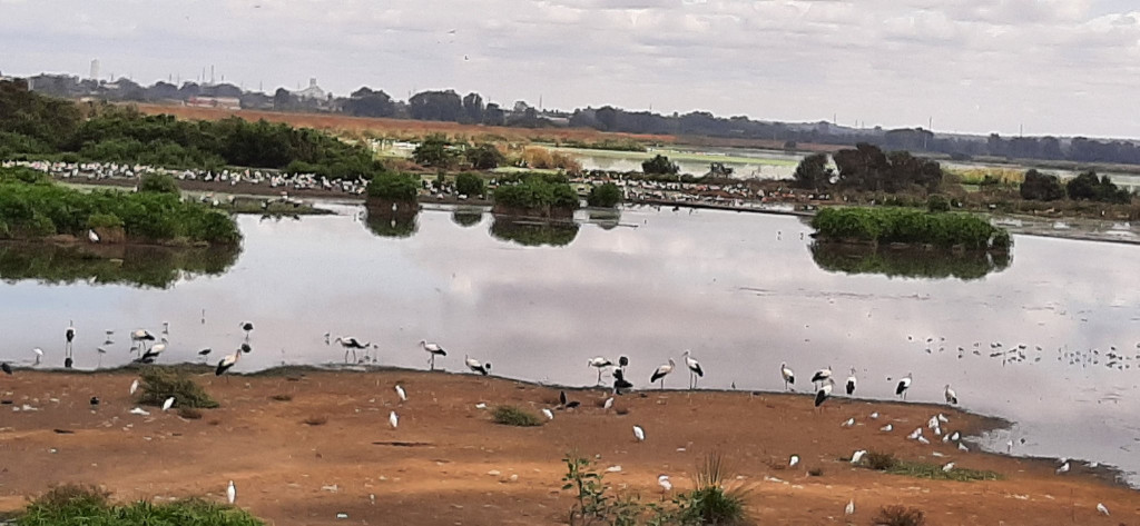 Kenitra 04.10.24-5.jpg