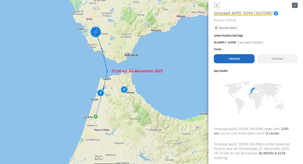 Smaragd AJP92 10199 (30CF09B)