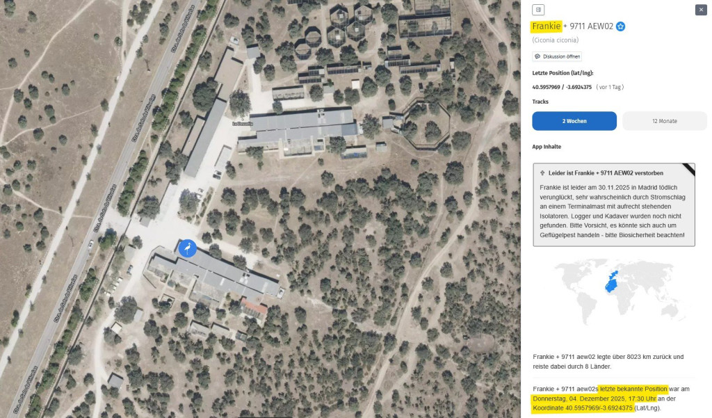Frankie_04Dez2025_Spanien_nördl-v-Madrid_Wildtierrettungsstation-TresCantos_AT.jpg