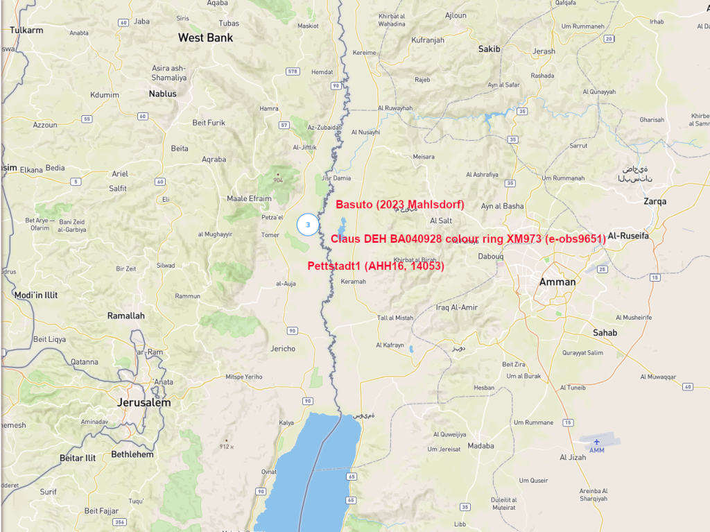 Screenshot 2025-12-11 at 16-40-24 Animal Tracker.png