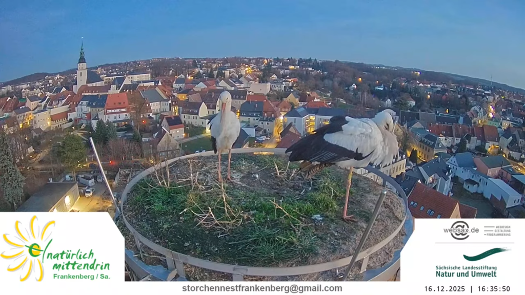 'Storchi' ist links, 'Langbein' steht rechts.